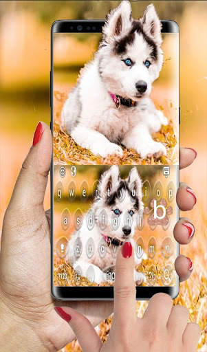 Siberian Husky Puppies Keyboard स्क्रीनशॉट 13