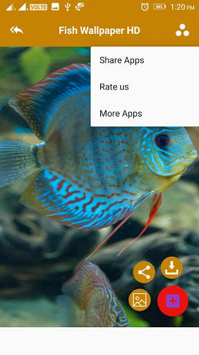 Fish 4k Wallpaper скриншот 3