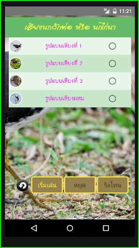 เสียงนกกวักต่อ เสียงนกไก่นา screenshot 2