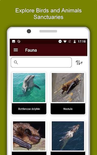 Tainan Travel & Explore, Offline Tourist Guide screenshot 13