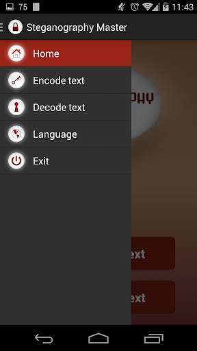 Steganography Master screenshot 2