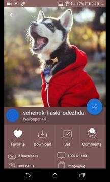 Wallpaper App 1080px screenshot 3