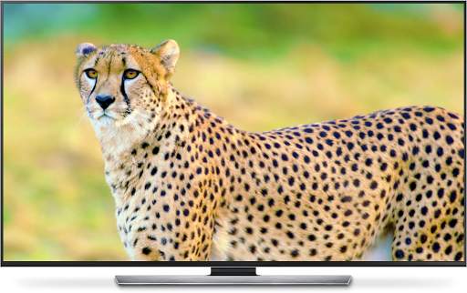 Wild Animals for Chromecast TV screenshot 1