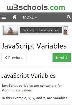 JavaScript W3Schools screenshot 2
