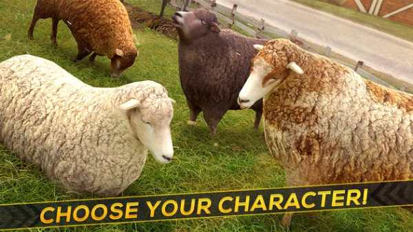 Sheep Racing Adventure Game 3D screenshot 12