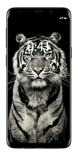 🔴 4.000  Amoled Wallpapers (HD / 4K Super Amoled) screenshot 16