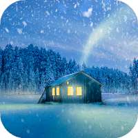 Snow Wallpaper HD : backgrounds & themes