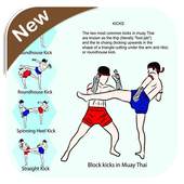 Muay Thai Technique 7.1