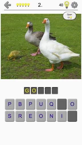 Bird World - Famous Birds Quiz screenshot 1