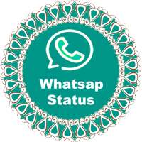 Status And Dp