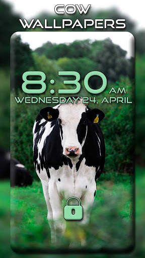 Cow Wallpapers screenshot 4