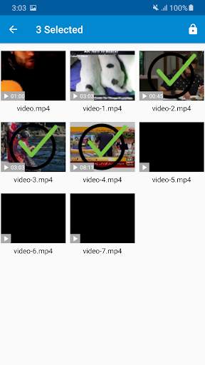 Photo and Video Locker: Vault, Hide Images screenshot 2