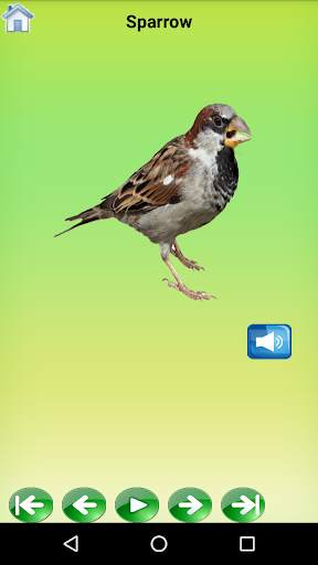 Birds Sound App, Birds Sound Application स्क्रीनशॉट 2