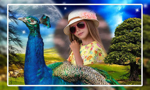 Peacock Photo Frames screenshot 5