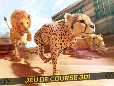 Léopards contre Lions! screenshot 4