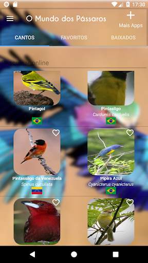 The World of Birds screenshot 6