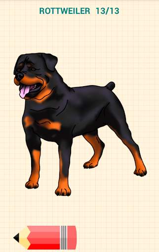 How to Draw Dogs скриншот 12