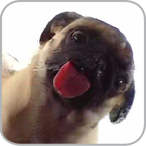 Dog Licker Live Wallpaper FREE आइकन