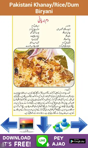 Pakistani Khanay screenshot 8
