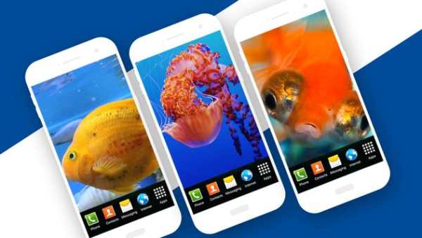 Aquarium Live Wallpaper 5 تصوير الشاشة