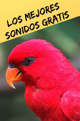 Ringtones and Sounds of Birds, Free Birdsong. स्क्रीनशॉट 2