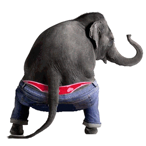 Dancing Talking Elephant иконка
