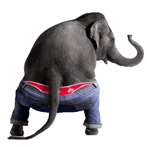 Dancing Talking Elephant 1.5