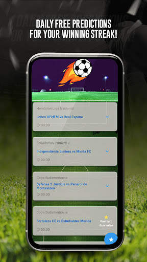 Daily Football Predictions screenshot 2