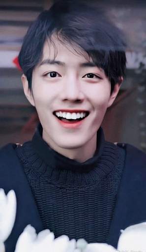 Xiao Zhan Wallpaper HD screenshot 4