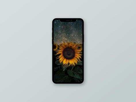 Sunflower Wallpaper screenshot 7