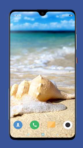 Seashell Wallpaper HD screenshot 12