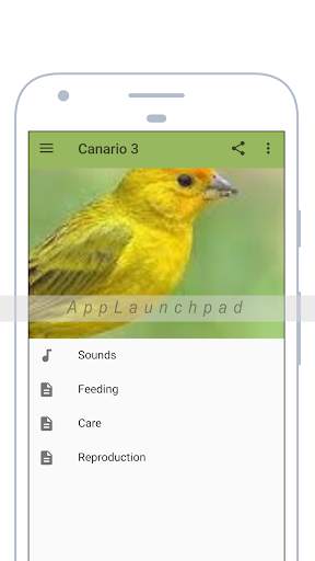 Canary screenshot 1