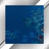 Aquarium Photo Frames icon