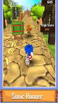 Temple Sonic Run 3D screenshot 1