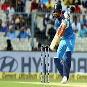 Live Cricket Matches 1.0