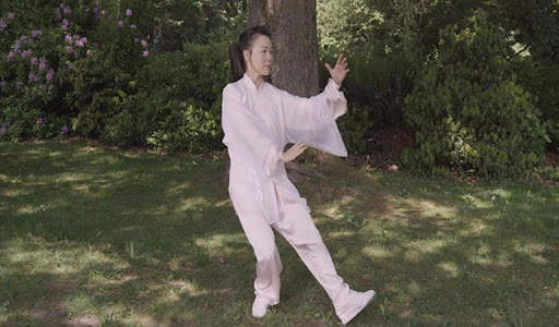 Tai Chi for Beginners - 48 Form (YMAA) screenshot 4