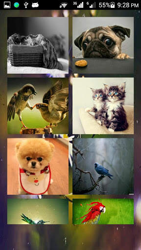 Wallpaper screenshot 2