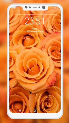 Orange Wallpaper screenshot 6
