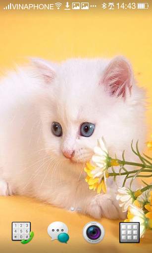 Cat Live Wallpaper HD 4K screenshot 7