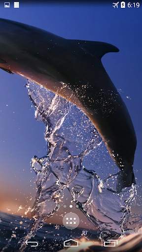 Dolphins 4K Live Wallpaper screenshot 4