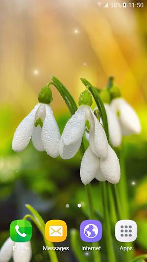 Spring Flowers Live Wallpaper screenshot 1