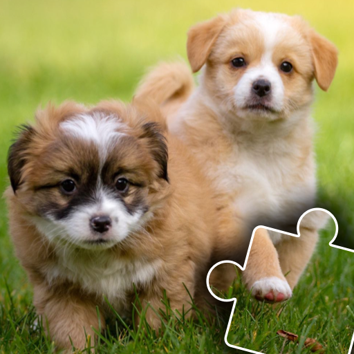 Dogs &amp; Cats Puzzles for kids 2 icon