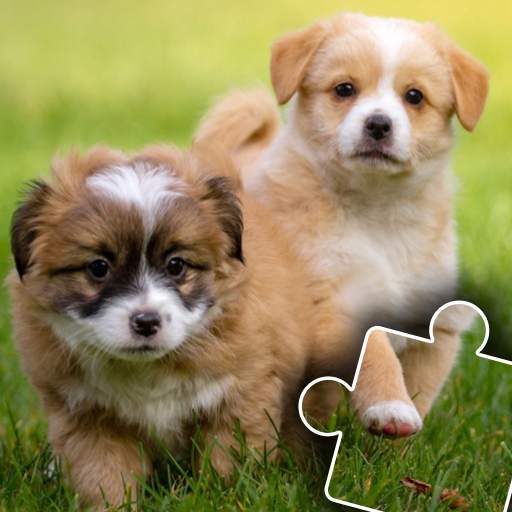 Dogs & Cats Puzzles for kids 2 2022.56
