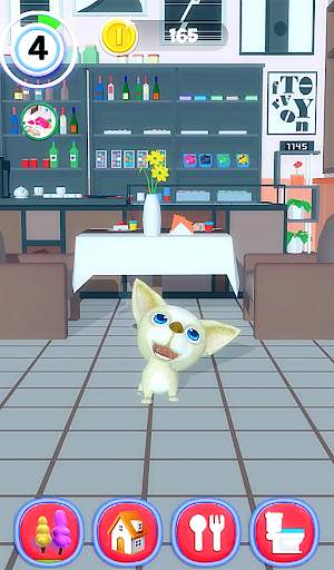 Talking Dog Chihuahua screenshot 16