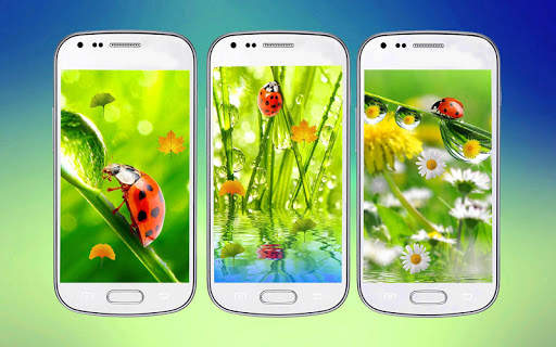 Ladybug 3D Live Wallpaper 2 تصوير الشاشة