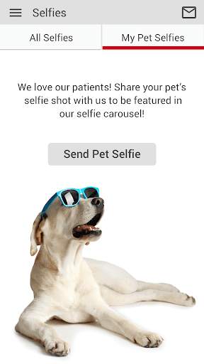 Stack Vet Hospital screenshot 4
