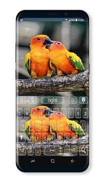 love birds keyboard theme screenshot 1