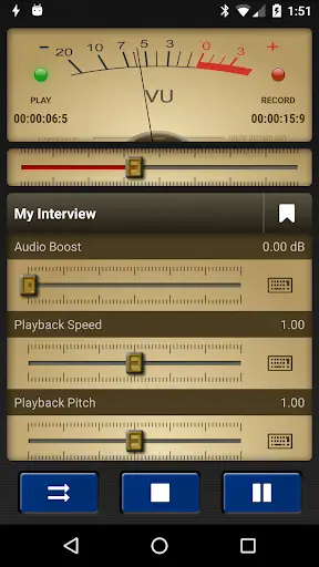 Voice Record Pro screenshot 1