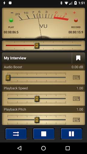 Voice Record Pro screenshot 1