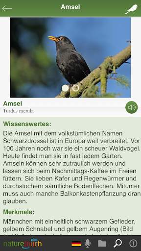 Vogelstimmen live erkennen - naturetouch स्क्रीनशॉट 7